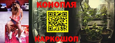 тгк Будённовск