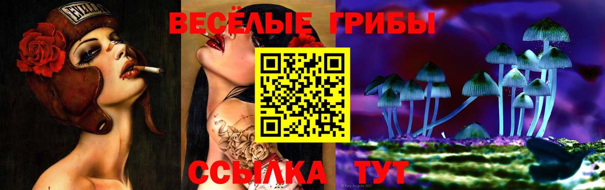 Псилоцибиновые грибы MAGIC MUSHROOMS Кувандык